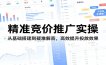 精准竞价推广实操：从基础搭建到疑难解答，高效提升投放效果