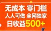 无成本，零门槛，人人可做，全网独家，真实日收益500+