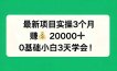 最新项目实操3个月，赚钱20000+，0基础小白3天学会！