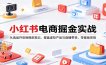 小红书电商掘金实战：从选品开店到爆款笔记，覆盖虚拟产品与直播带货，零基础变现