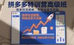 拼多多特训营高阶班，独家玩法赋能，突破运营天花板(更新26年5月01日)