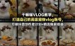 干嘛喵VLOG教学，打造自己的高级宠物vlog账号，可做抖音创作者计划+精选独家收益