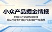 小众产品掘金情报：拆解闷声变现优质项目，独立开发者小团队可直接抄作业落地