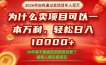 一单净利润1K+，26年想年入100个W，死磕卖项目就够了【揭秘】