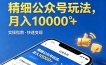 精细公众号玩法，月入10000+，实操指南，快速变现