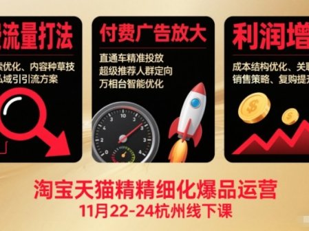 淘宝天猫精细化爆品运营11月22-24杭州线下课，免费流量打法+付费广告放大+利润增长(音频+文档)