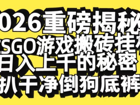 2026开年重磅解密，CSGO游戏搬砖挂G日入1k+的秘密，把倒狗的底裤扒干【揭秘】