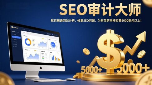 SEO审计大师:教你精通网站分析,修复SEO问题,为有效的审核收费5000美元以上!