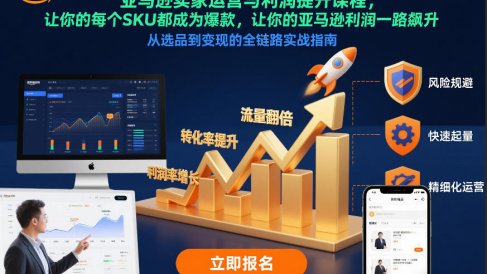 亚马逊卖家运营与利润提升课程,让你的每个SKU都成为爆款,让你的亚马逊利润一路飙升(更新26年3月)