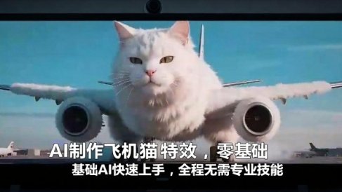 AI制作飞机猫特效,零基础AI快速上手,全程无需专业技能