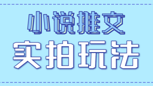 小说推文实拍玩法,零成本零门槛10元/单,轻松月收益万元