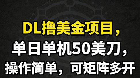 DL撸美金项目，单日单机50美刀，操作简单，可矩阵多开