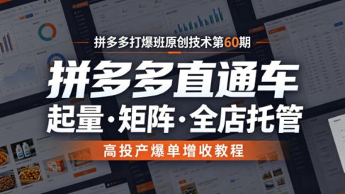 拼多多打爆班原创技术第60期，拼多多直通车，起量・矩阵・全店托管，高投产爆单增收教程