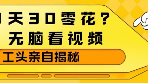 1天30零花?无脑看视频,大佬亲自揭秘