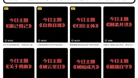 抖音IP运营项目,抖音今日主题玩法,起号门槛低,实现账号稳定增长