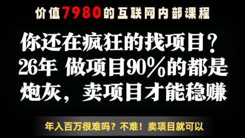 26年请不要疯狂的找项目了，卖项目远比你想象的暴利，你也可以月入10W+【揭秘】