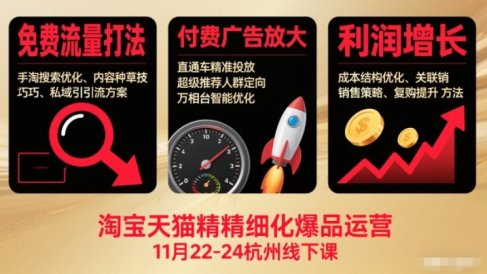淘宝天猫精细化爆品运营11月22-24杭州线下课，免费流量打法+付费广告放大+利润增长(音频+文档)