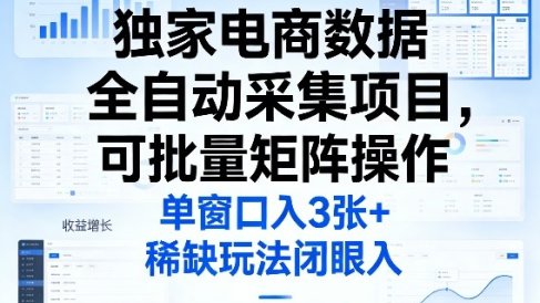 独家电商数据全自动采集项目，可批量矩阵操作，单窗口日入3张+，稀缺玩法闭眼入【揭秘】