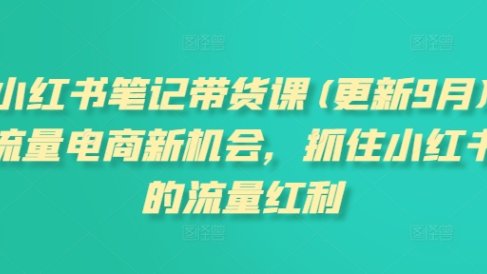 小红书笔记带货课,流量电商新机会,抓住小红书的流量红利(更新26年2月)