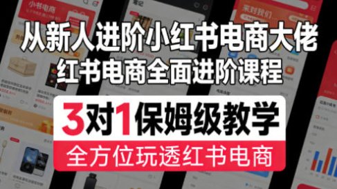 从新人进阶小红书电商大佬，红书电商全面进阶课程，3对1保姆级教学，全方位玩透红书电商