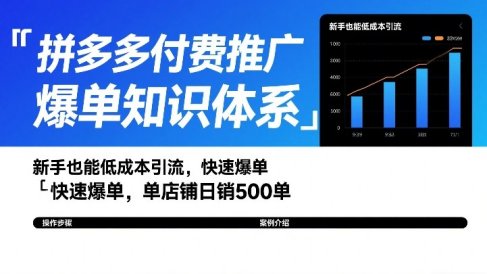 拼多多付费推广爆单知识体系，新手也能低成本引流，快速爆单，单店铺日销500单
