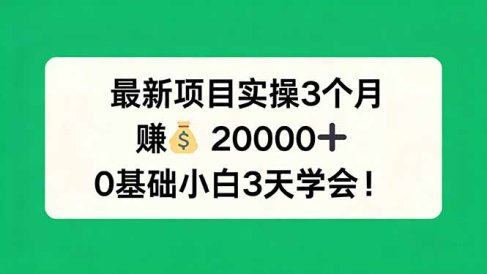 最新项目实操3个月，赚钱20000+，0基础小白3天学会！
