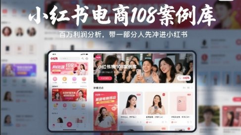 小红书电商108案例库，百W利润分析，带一部分人先冲进小红书【文档】