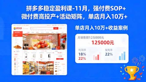 拼多多稳定盈利课-11月,强付费SOP+微付费高投产+活动矩阵,单店月入10万+