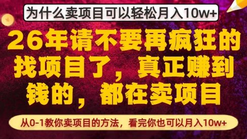 为什么真正賺到钱的都在卖项目,从0-1教你卖项目的方法,看完你也可以月入10w+【揭秘】