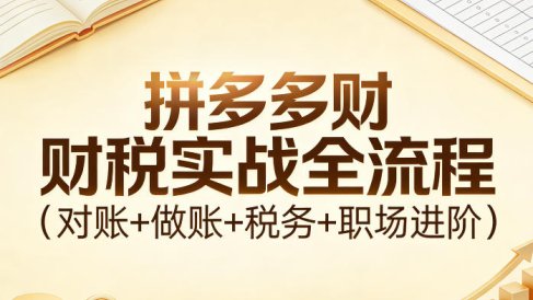拼多多财税实战全流程(对账+做账+税务+职场进阶)