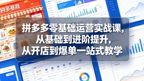 拼多多零基础运营实战课，从基础到进阶提升，从开店到爆单一站式教学