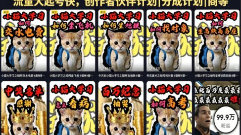 抖音百万粉丝博主的小猫生活科普视频教学,流量大起号快,创作者伙伴计划|分成计划|商单|收徒等