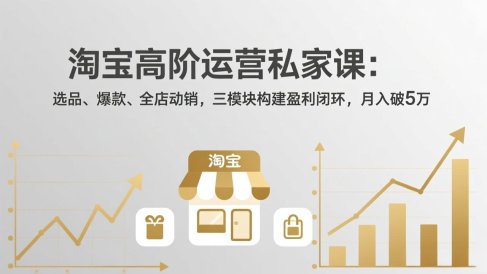 淘宝高阶运营私家课(更新26年4月