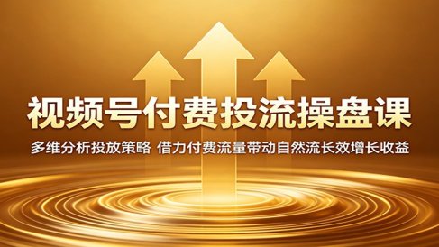 视频号付费投流操盘课:多维分析投放策略,借力付费流量带动自然流长效增长收益