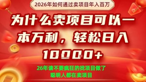 一单净利润1K+,26年想年入100个W,死磕卖项目就够了【揭秘】