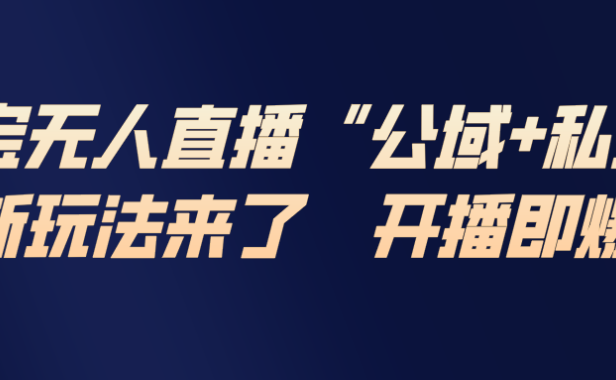 淘宝无人直播最新玩法，包含私域和公域两种玩法