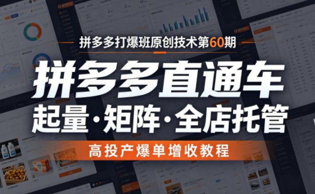 拼多多打爆班原创技术第60期,拼多多直通车,起量・矩阵・全店托管,高投产爆单增收教程