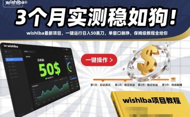 3个月实测稳如狗!wishlba最新项目,一键运行日入50美刀,单窗口躺挣,保姆级教程全给你【揭秘】