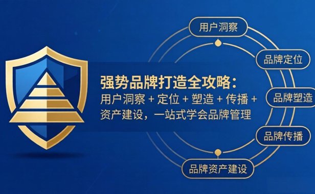 强势品牌打造全攻略:用户洞察 + 定位 + 塑造 + 传播 + 资产建设,一站式学会品牌管理
