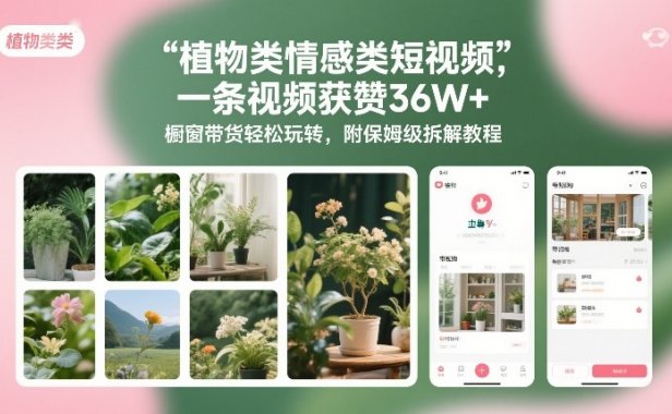 植物类情感类短视频,一条视频获赞36W+,橱窗带货轻松玩转,附保姆级拆解教程