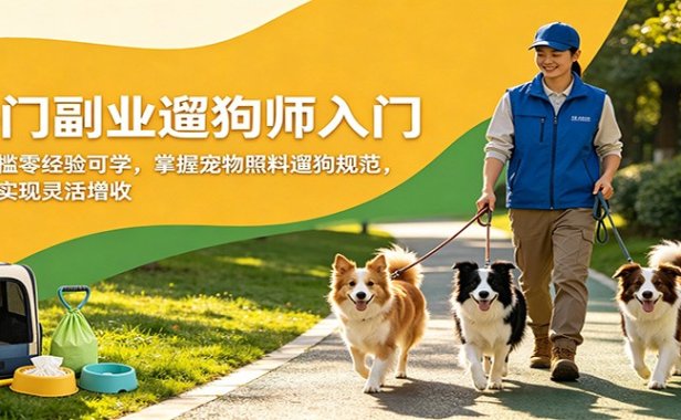 热门副业遛狗师入门，无门槛零经验可学，掌握宠物照料遛狗规范，轻松实现灵活增收