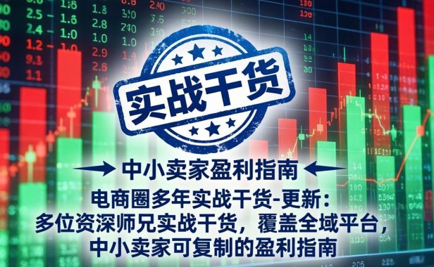 电商圈多年实战干货-更新5月20:多位资深师兄实战干货/覆盖全域平台,中小卖家可复制的盈利指南