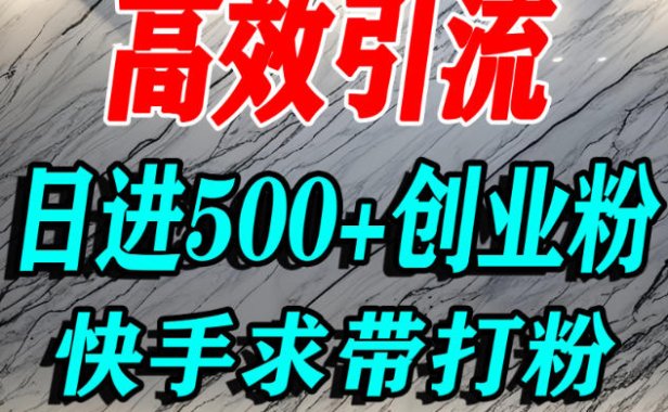 怎么打创业粉?快手求带视角精准引流创业粉,宝妈、学生群体日进500+精准流量