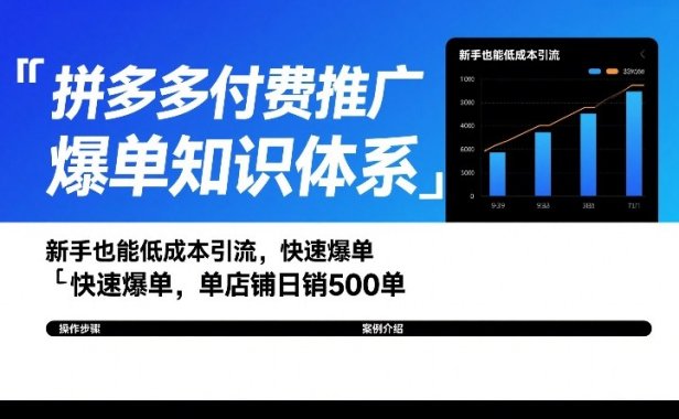 拼多多付费推广爆单知识体系，新手也能低成本引流，快速爆单，单店铺日销500单