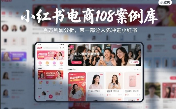 小红书电商108案例库,百W利润分析,带一部分人先冲进小红书【文档】