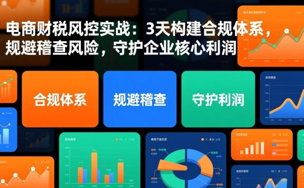 电商财税风控实战:3天构建合规体系,规避稽查风险,守护企业核心利润