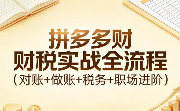 拼多多财税实战全流程(对账+做账+税务+职场进阶)
