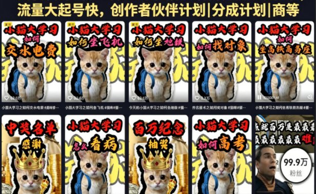 抖音百万粉丝博主的小猫生活科普视频教学,流量大起号快,创作者伙伴计划|分成计划|商单|收徒等
