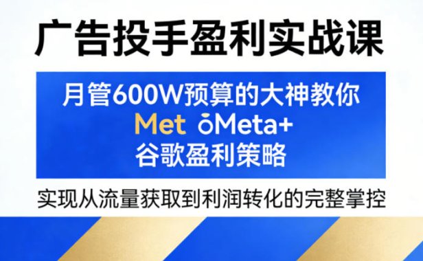 广告投手盈利实战课，月管600W预算的大神教你Meta+谷歌盈利策略，实现从流量获取到利润转化的完整掌控