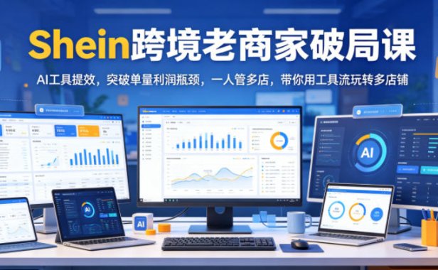 Shein跨境老商家破局课，AI工具提效，突破单量利润瓶颈，一人管多店，带你用工具流玩转多店铺